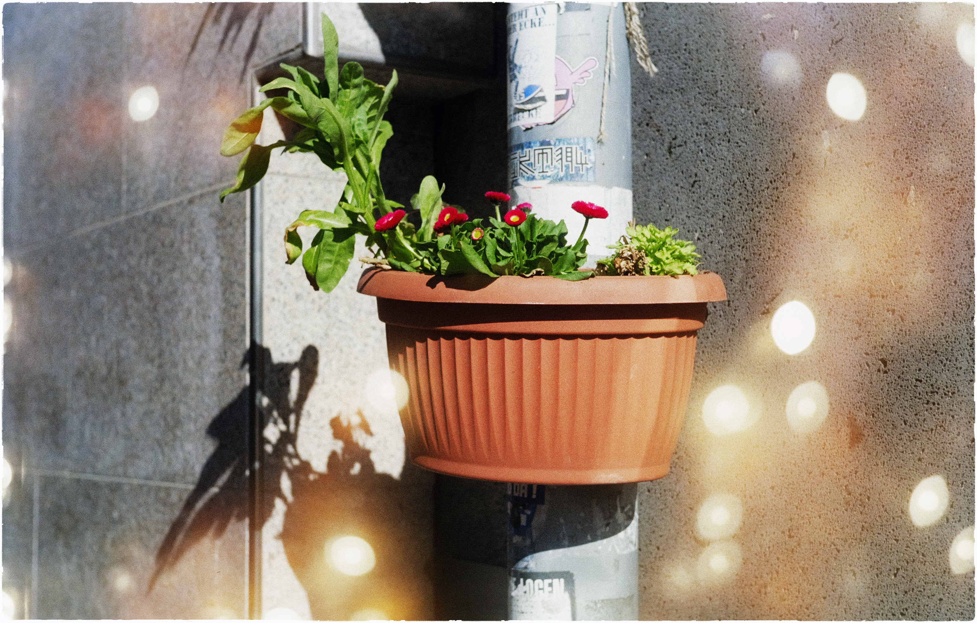 Fruehling 25.02.2026